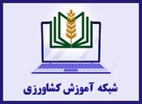 small_06_13_2023_9_10_23shabakeh_keshavarzi.jpg